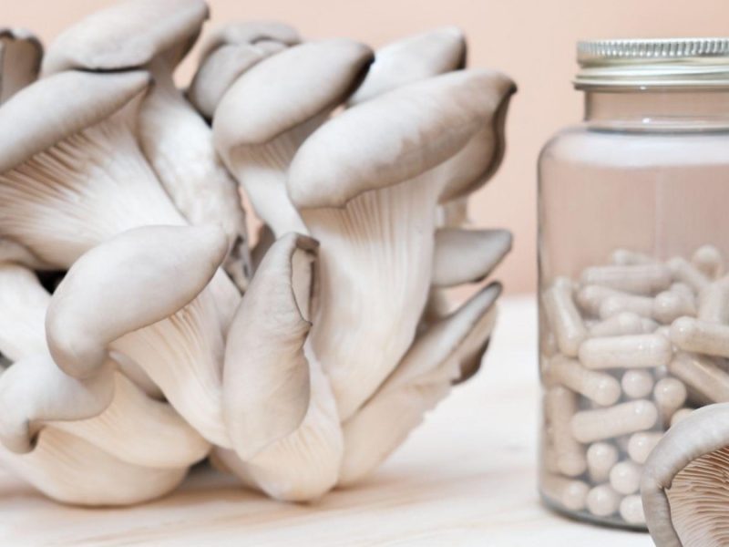 Mushroom Supplements: What Are The Health Benefits To Get?